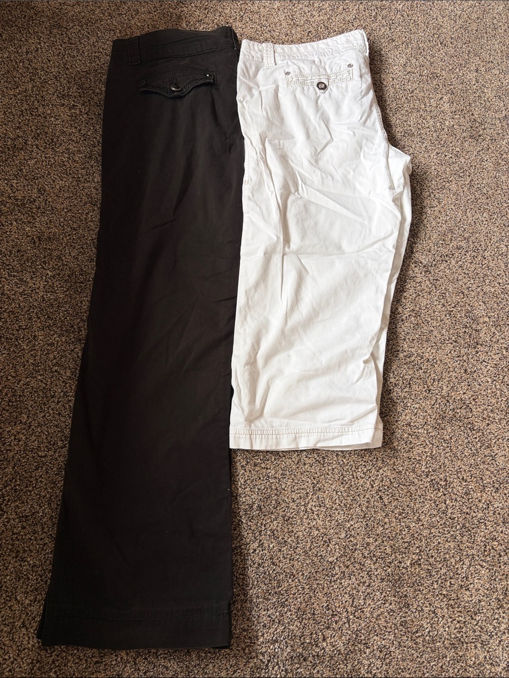 BKE: Women’s Black and White Casual Pants - Classic Two-Pack